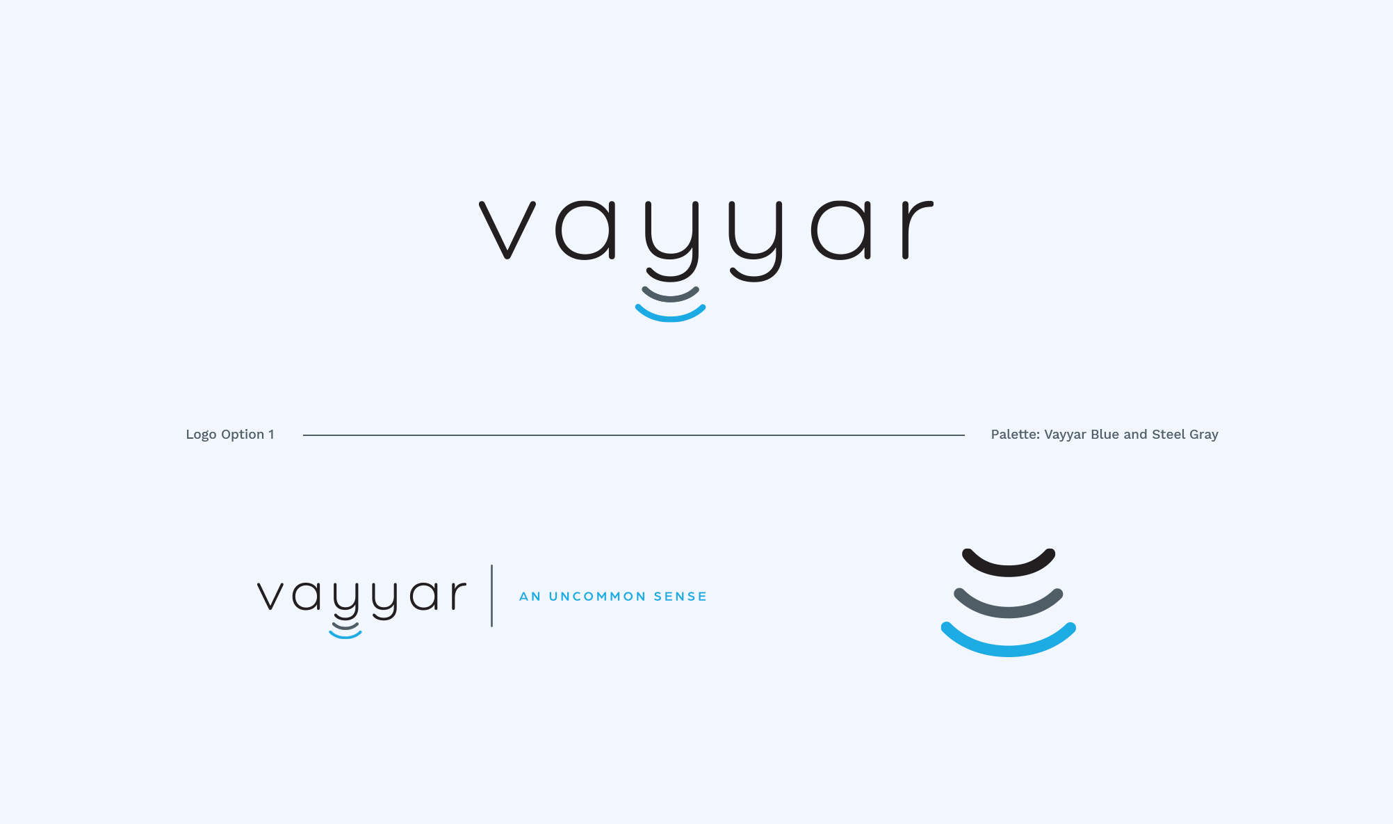 Vayyar 1_Sensing